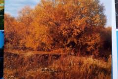 IMG-ec55f3cebd7a98f049a49d75ed4bbf99-V